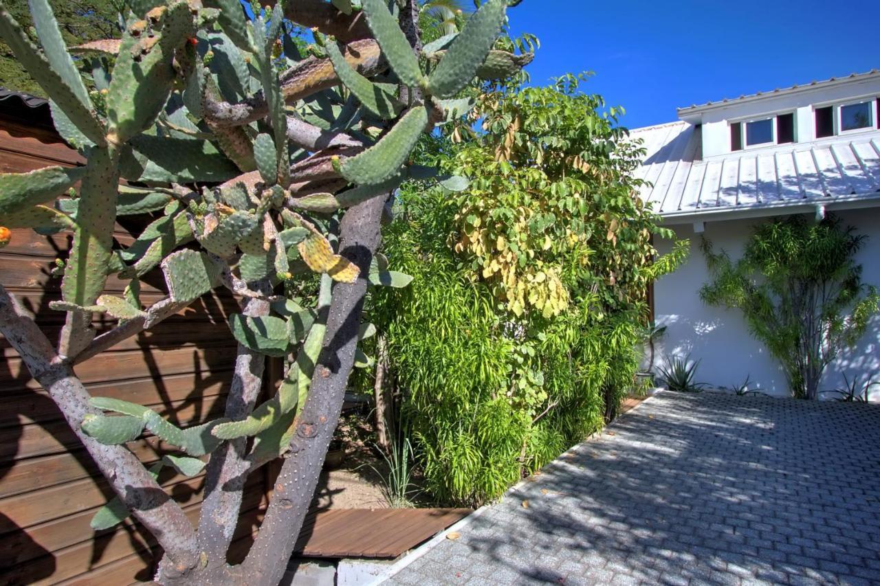Villa L'Almendro - La Saline Les Bains Eksteriør billede